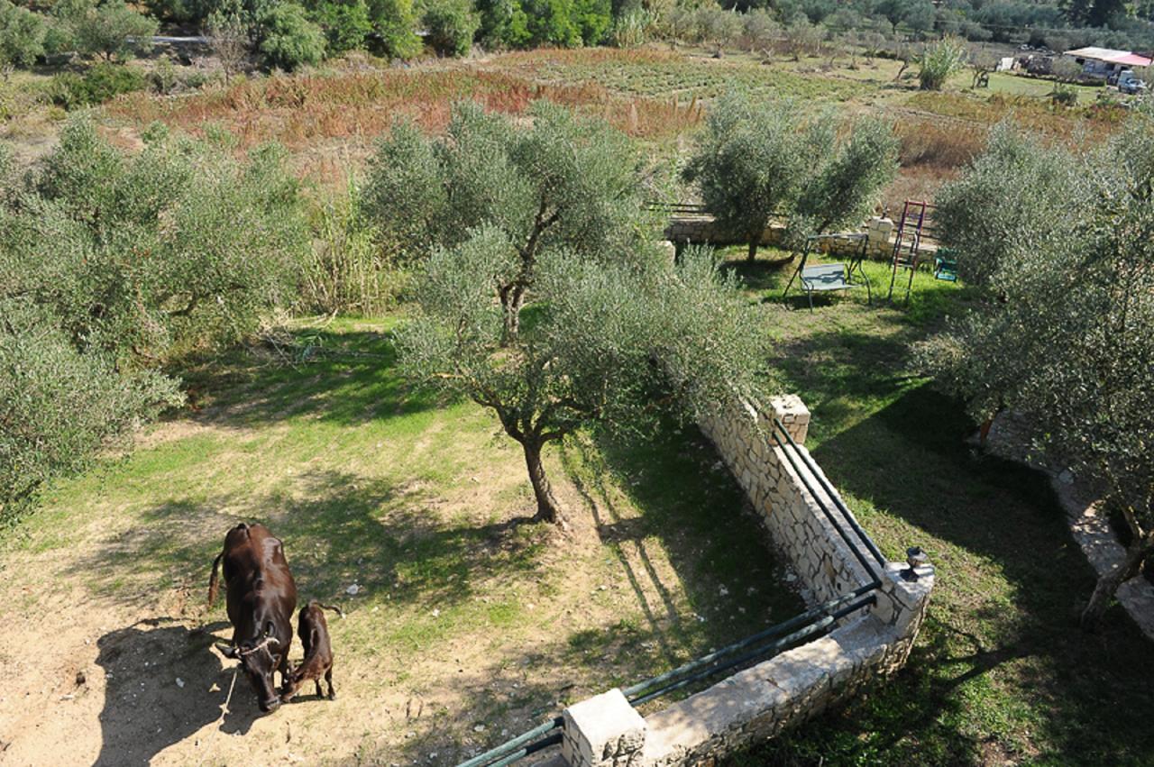 Ammos Zante Villas Vasilikos  Exterior photo